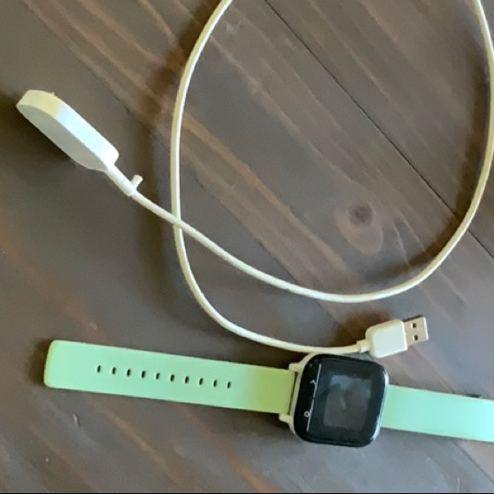 Mint Green Gizmo Watchband